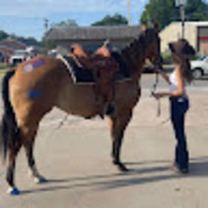 Meet your Posher, Autumn